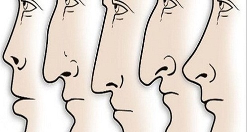 Tương quan tướng mũi và tính cách con người