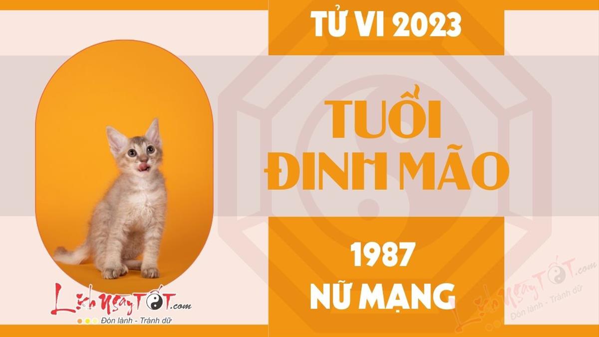 TỬ VI NĂM 2023 CHO NỮ MỆNH TUỔI MÃO 1987