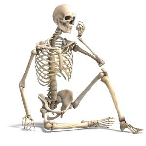 Lịch sử giá Mô hình bộ khung xương người 3d  đang giảm 18500 tháng  82023  BeeCost