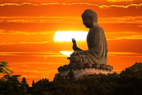 Nếu bạn thích khám phá những bức tượng đồ sộ, tươi đẹp công phu và linh thiêng, hãy đến xem 5 bức tượng Phật đồ sộ nhất tại Việt Nam. Mỗi bức tượng đều có câu chuyện và giá trị riêng, được chế tác với sự đam mê và công phu tuyệt đỉnh.
