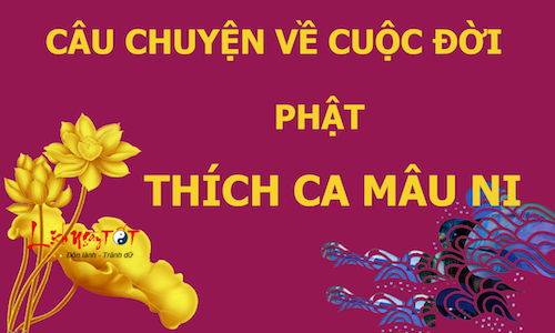 Infographic Cuoc doi Phat Thich Ca Mau Ni Phan 1 hinh anh goc