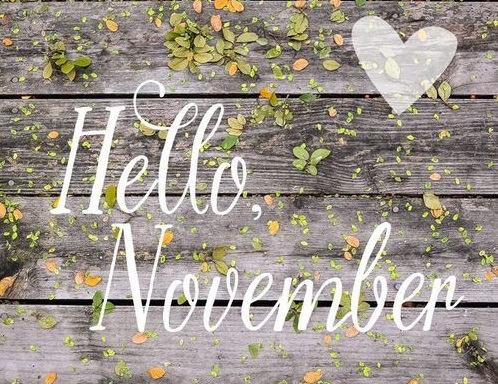 Trọn Bộ Hình Ảnh Chào Tháng 11 Đẹp Nhất Hello November 2020 MP3  Nhạc  Chuông Hay