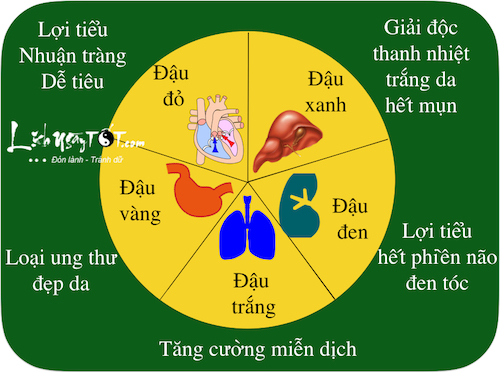 Xem ngay tot xau tri bach benh tieu tan Thu Hai 1172016 hinh anh goc