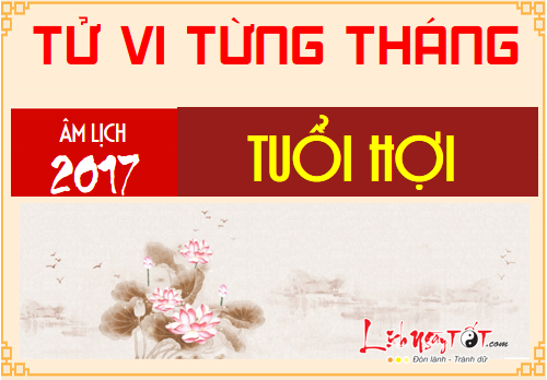 Tu vi thang Tong quan 12 thang nam Dinh Dau 2017 tuoi Hoi hinh anh goc
