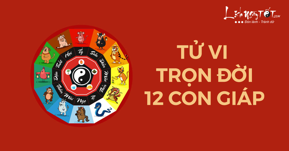 TỬ VI 2026 TUỔI MÃO 1987 NỮ MẠNG DỰ BÁO BIẾN ĐỘNG VẬN TRÌNH TRONG NĂM