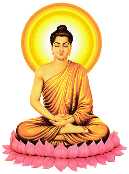 Vì sao Đức Phật, Bồ Tát ngồi trên hoa sen mà không phải loài hoa khác?