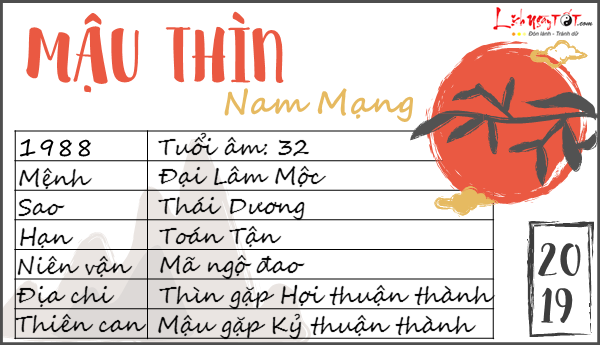 Tu vi 2019 tuoi Mau Thin nam mang