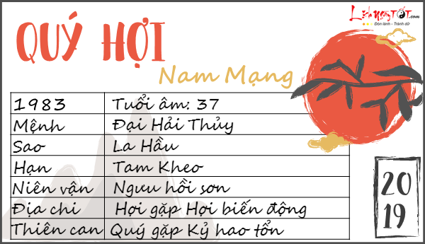 Tu vi 2019 tuoi Quy Hoi nam mang