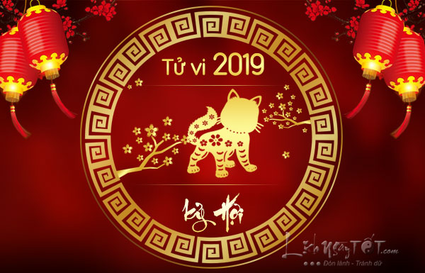 Tu-vi-tuoi-Mao-nam-2019-Ky-Hoi