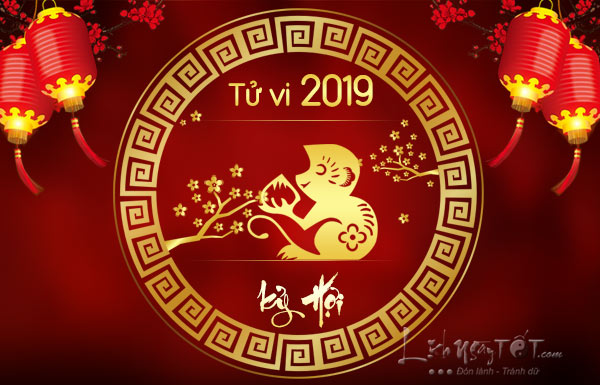 Tu-vi-tuoi-Than-nam-2019-Ky-Hoi