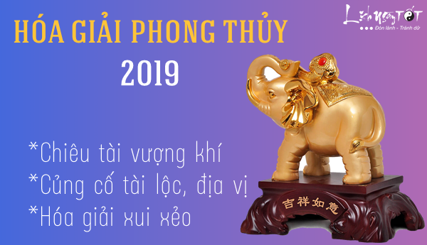 Hoa giai phong thuy thuc day tai loc 2019