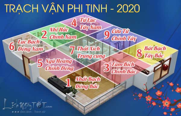 Cuu-cung-phi-tinh-nam-2020