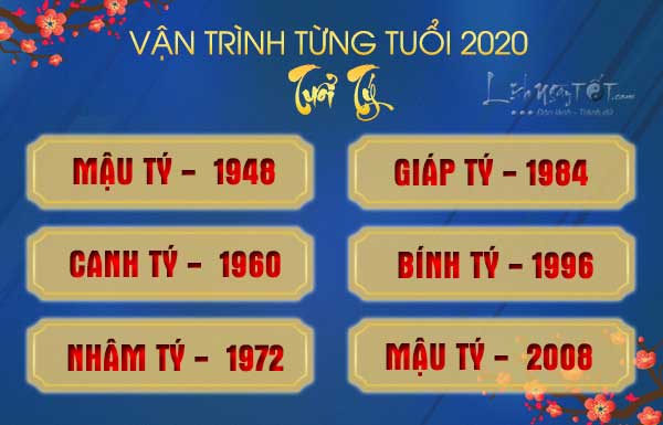 Tu-vi-2020-chi-tiet-tung-tuoi-Ty