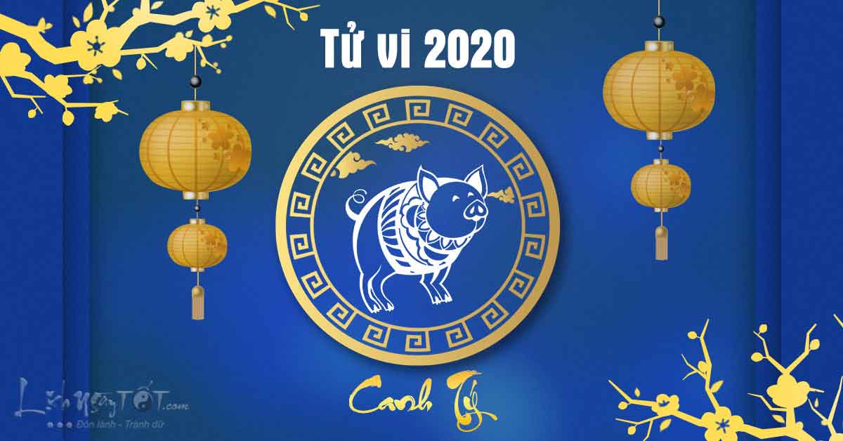 Tử vi tuổi Hợi 2020: Tình tiền bất ổn, tổn thương chực chờ