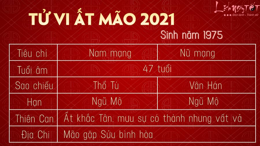 Tu vi tuoi At Mao 1975 nam 2021