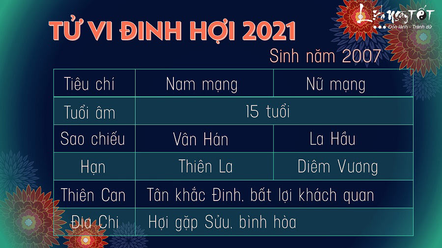 Tu vi tuoi Dinh Hoi 2007 nam 2021