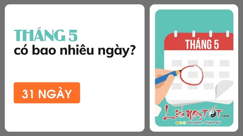 Tháng 5 có bao nhiêu ngày? Điều nên biết về tháng rực rỡ mùa Hè