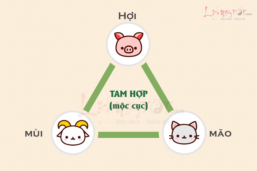 Hội Mèo Mũi Tam Hợp: Khám Phá Ý Nghĩa và Lợi Ích Tâm Linh