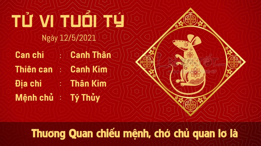 Tử vi hàng ngày 12/5/2021 tuổi Tý