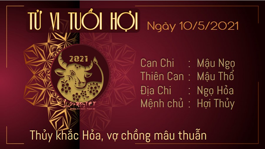 Tử vi hàng ngày 10/5/2021 - Hợi