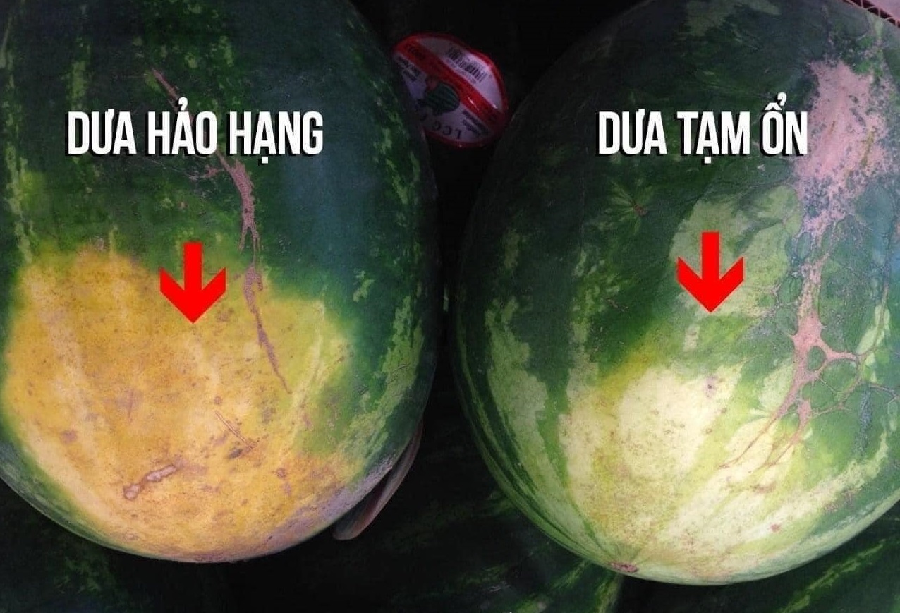 Cách chọn dưa hấu ngon dịp Tết, vừa đẹp mắt vừa ngọt lịm tim