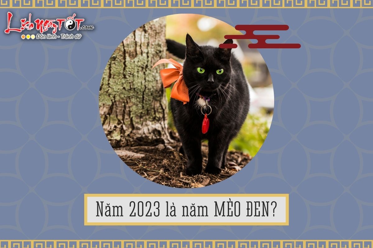 Nam Quy Mao 2023 co phai la Meo Den?