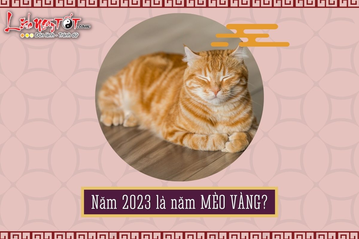 Nam Quy Mao 2023 co phai la Meo Vang?