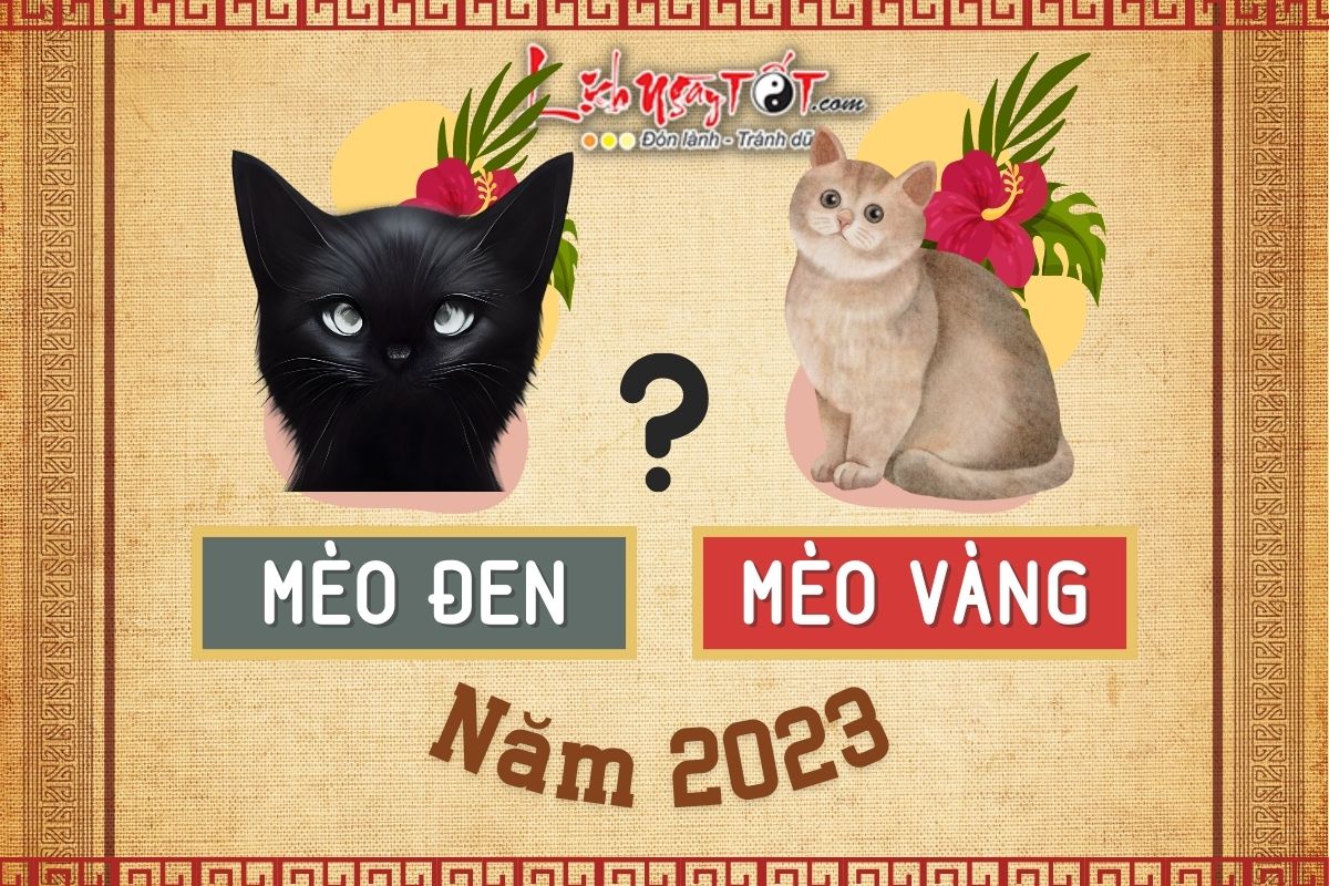 Nam Quy Mao 2023 la Meo Vang hay Meo Den