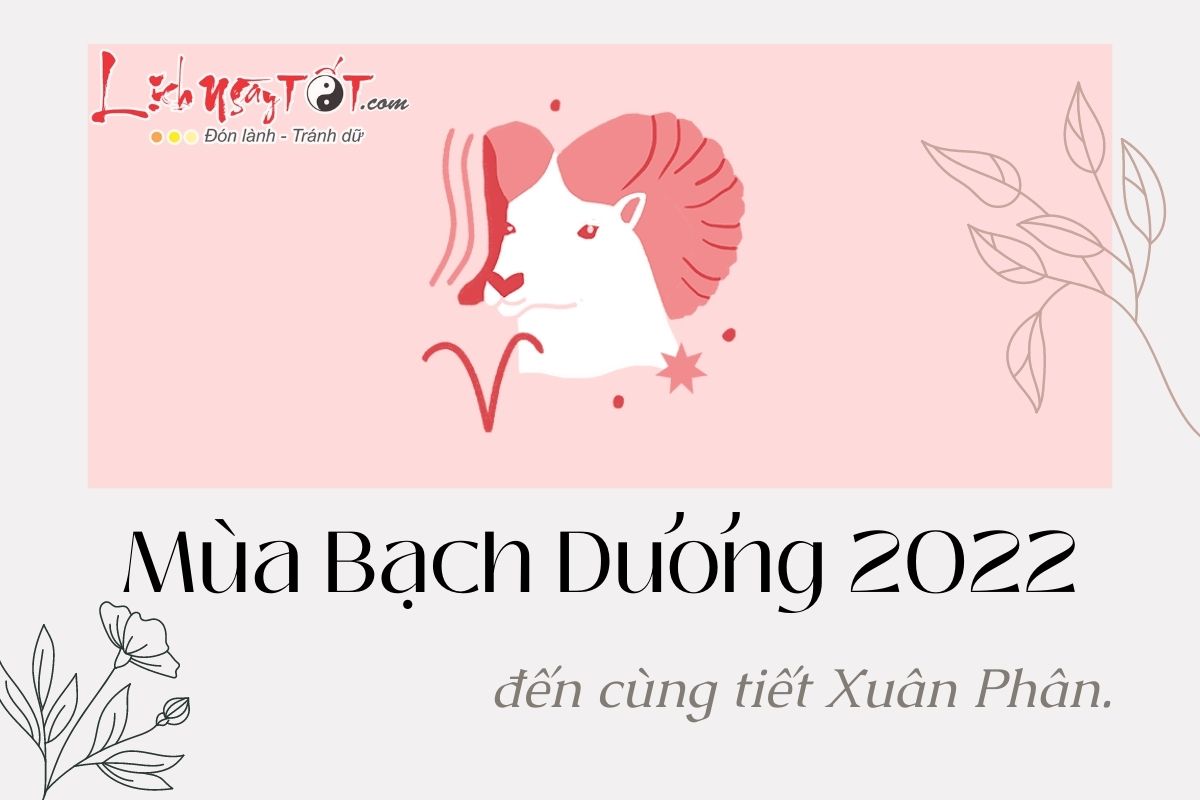 Mua Bach Duong 2022
