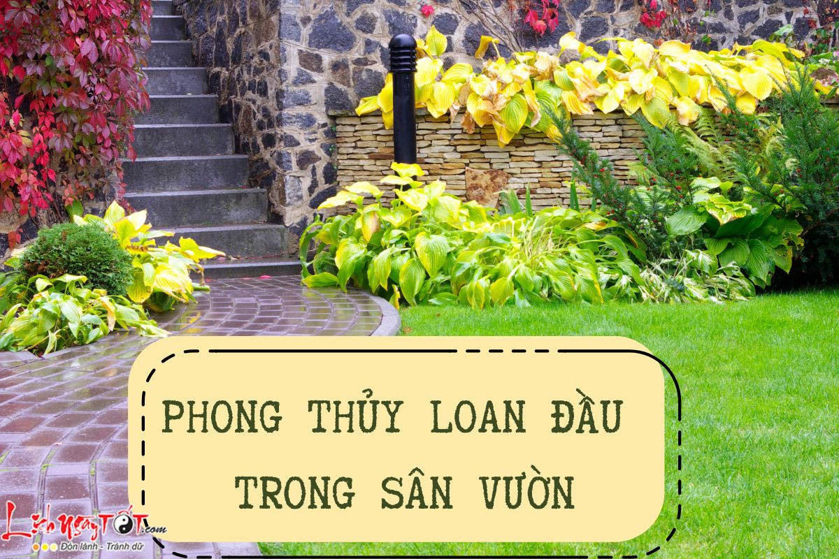 Phong thuy Loan Dau san vuon