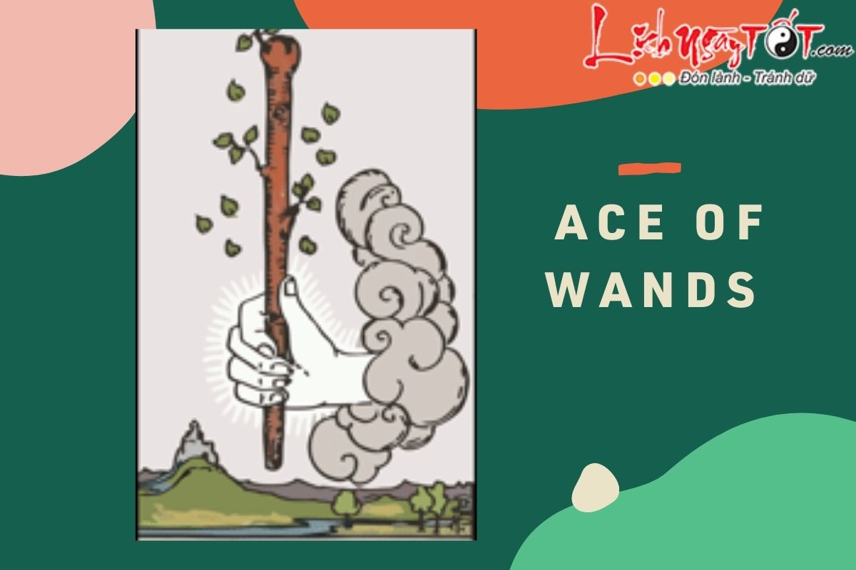 La bai Ace of Wands