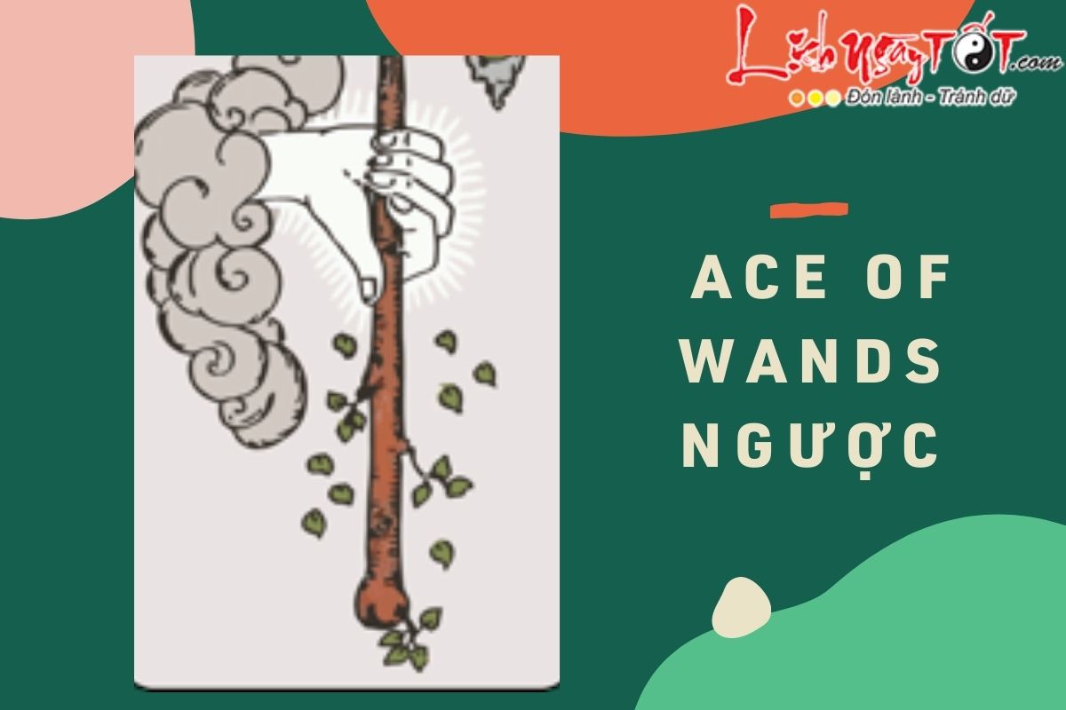 La bai Ace of Wands nguoc