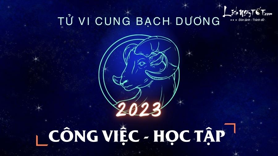 Tu vi cong viec Bach Duong nam 2023