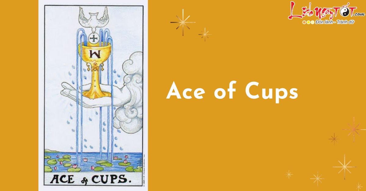 la bai Ace of Cups