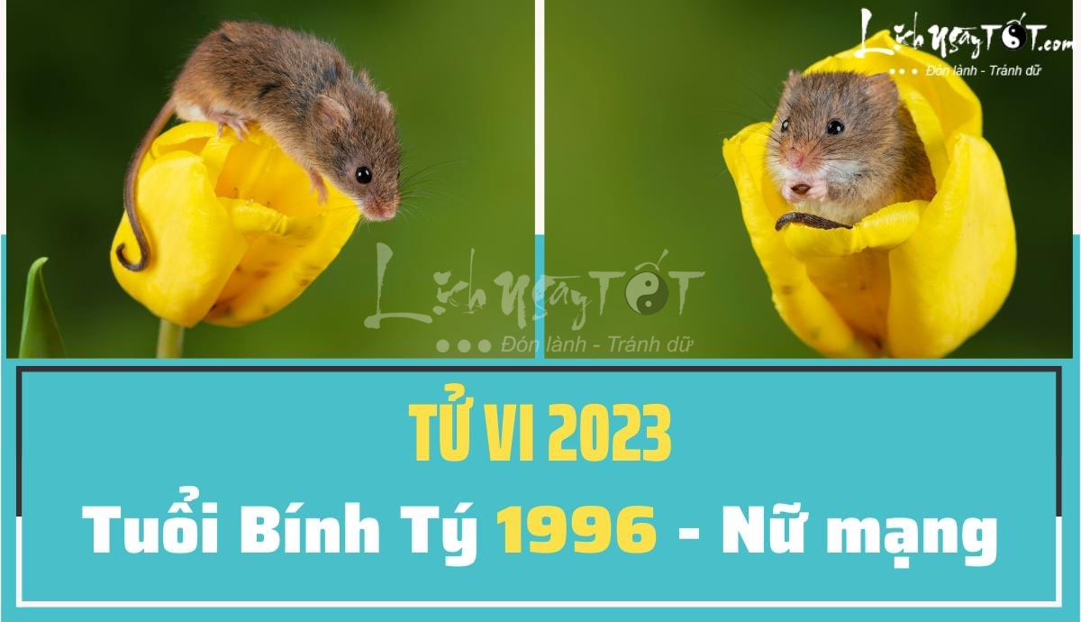 Tu vi 2023 tuoi Binh Ty nu mang 1996