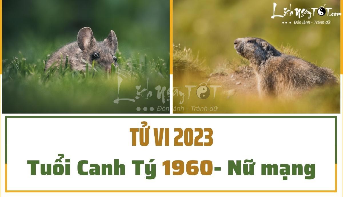 Tu vi 2023 tuoi Canh Ty nu mang 1960
