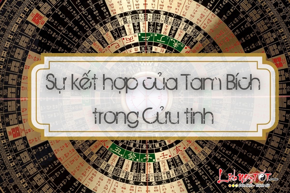 Su ket hop cua Tam Bich trong Cuu tinh