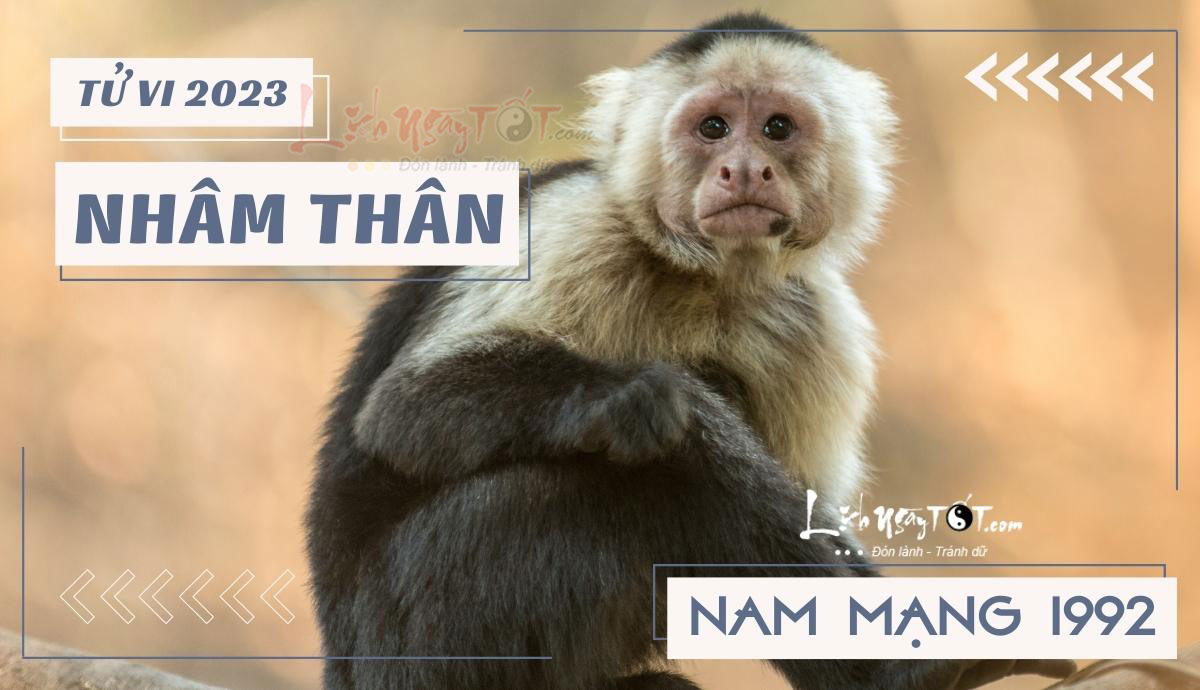 Tu vi 2023 tuoi Nham Than nam mang - Tu vi tuoi Nham Than nam 2023 nam mang