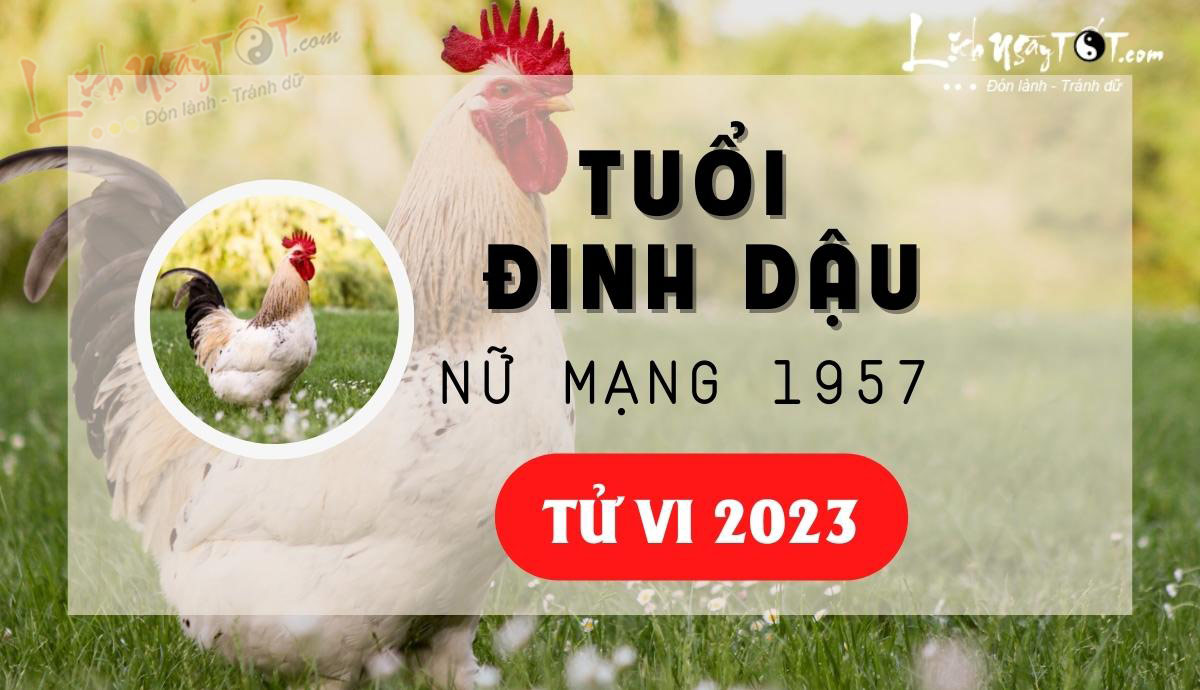 Tra cứu Thái ất tử vi tuổi Đinh Dậu năm 2023 nam mạng sinh năm 1957 #CHÍNH XÁC