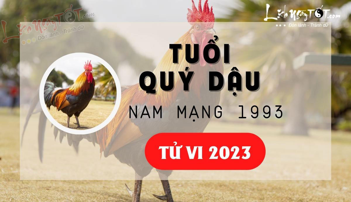 Tu vi 2023 tuoi Quy Dau nam mang - Tu vi tuoi Quy Dau nam 2023 nam mang
