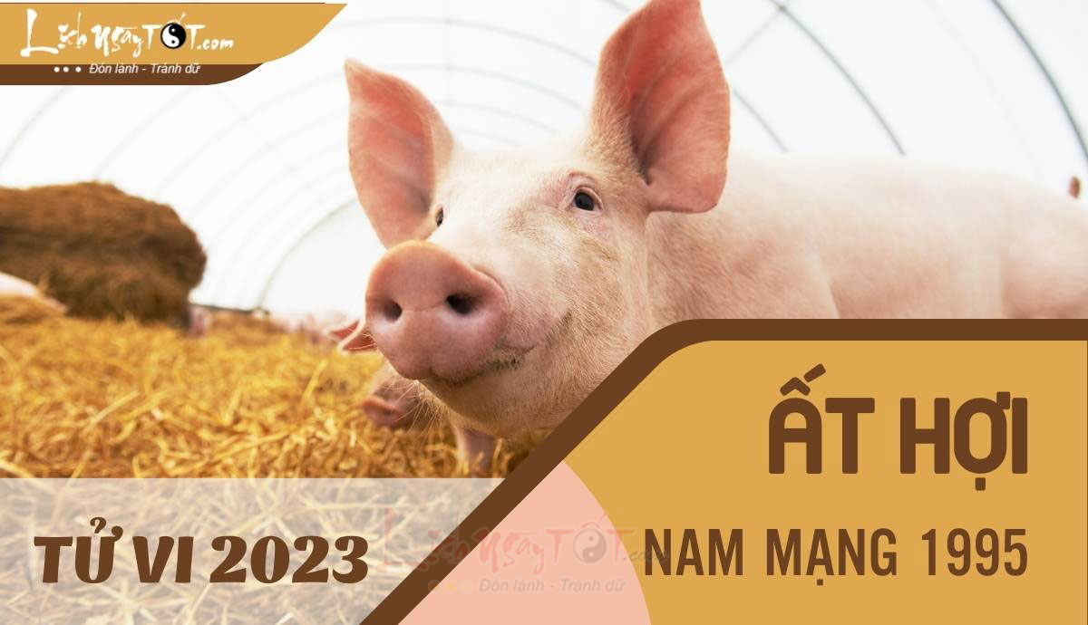 Tu vi 2023 tuoi At Hoi nam mang - Tu vi tuoi At Hoi nam 2023 nam mang