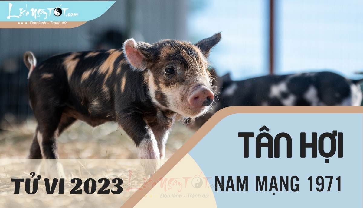Tu vi 2023 tuoi Tan Hoi nam mang - Tu vi tuoi Tan Hoi nam 2023 nam mang