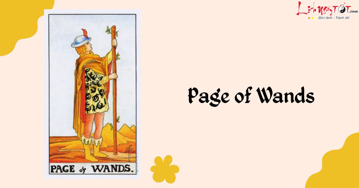 la bai Page of Wands