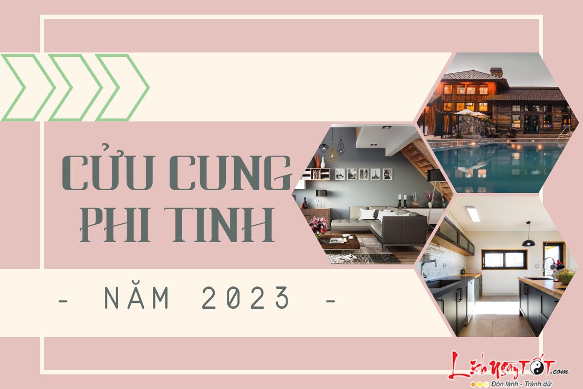 Cuu Cung phi tinh nam 2023