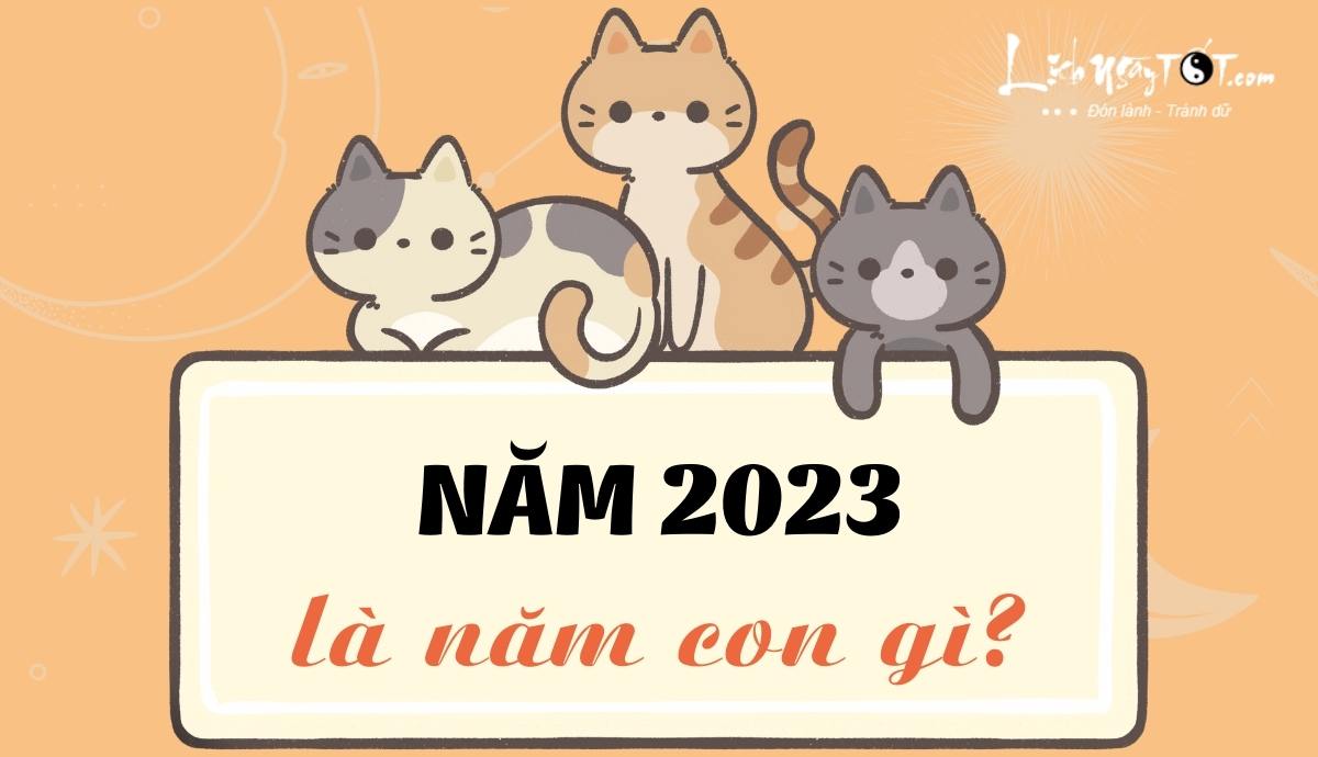 Nam 2023 la nam con gi?