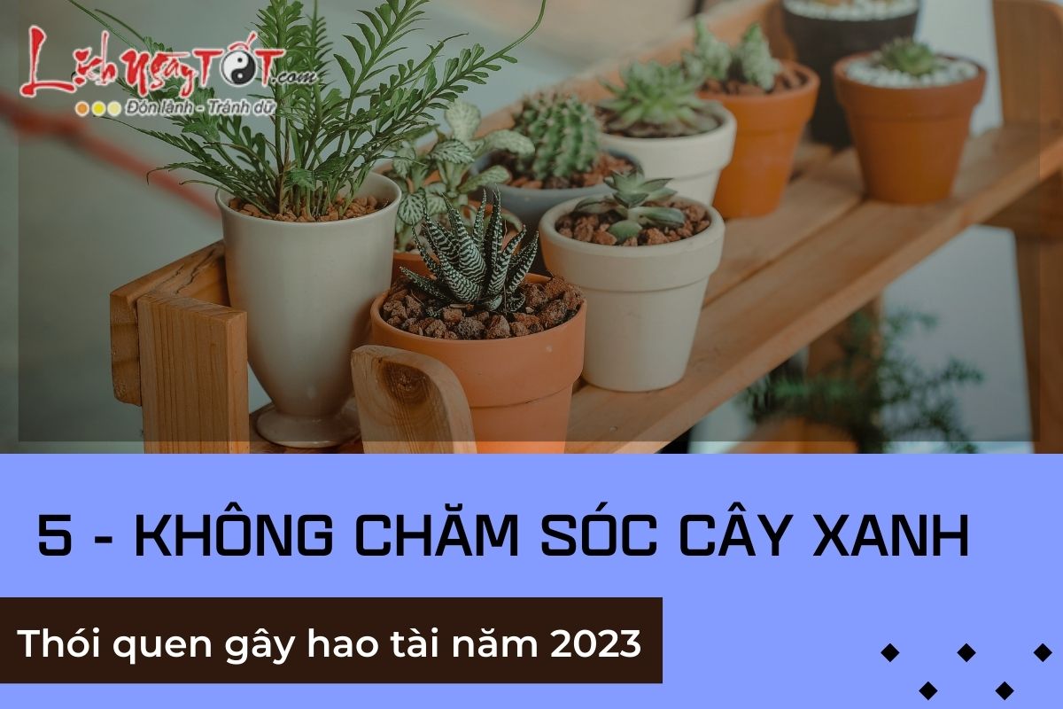 Thoi quen gay that thoat tien bac nam 2023 - 5