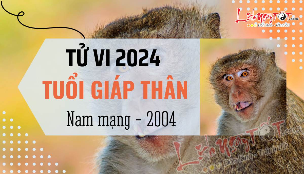Tu vi 2024 tuoi Giap Than nam mang 2004