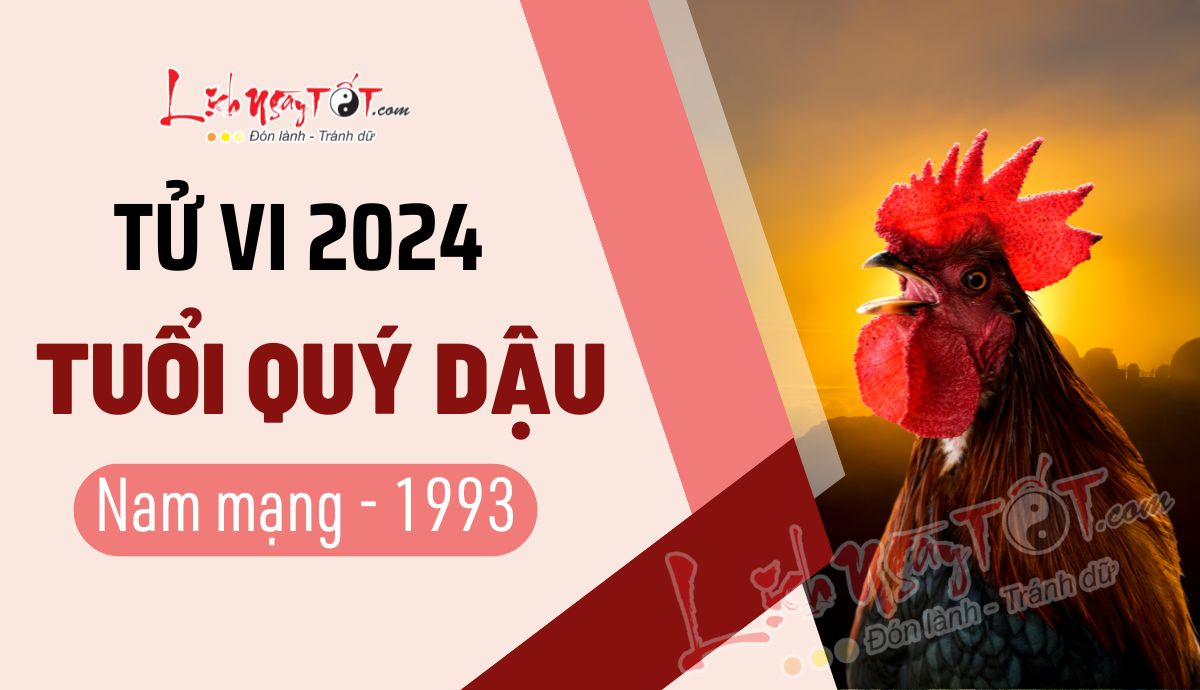 Tu vi 2024 tuoi Quy Dau nam mang 1993