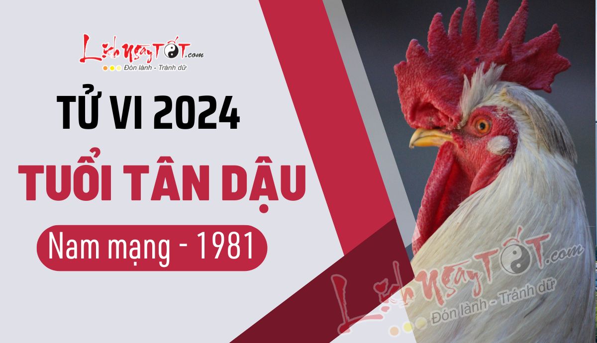 Tu vi 2024 tuoi Tan Dau nam mang 1981