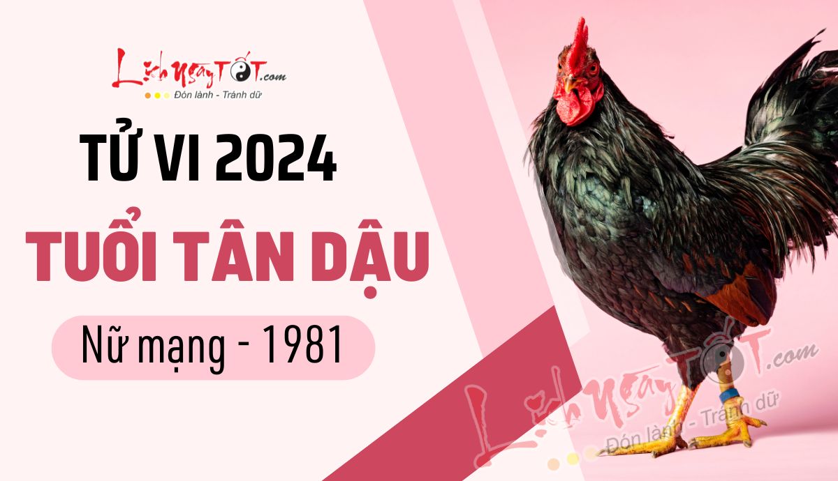 Tu vi 2024 tuoi Tan Dau nu mang 1981